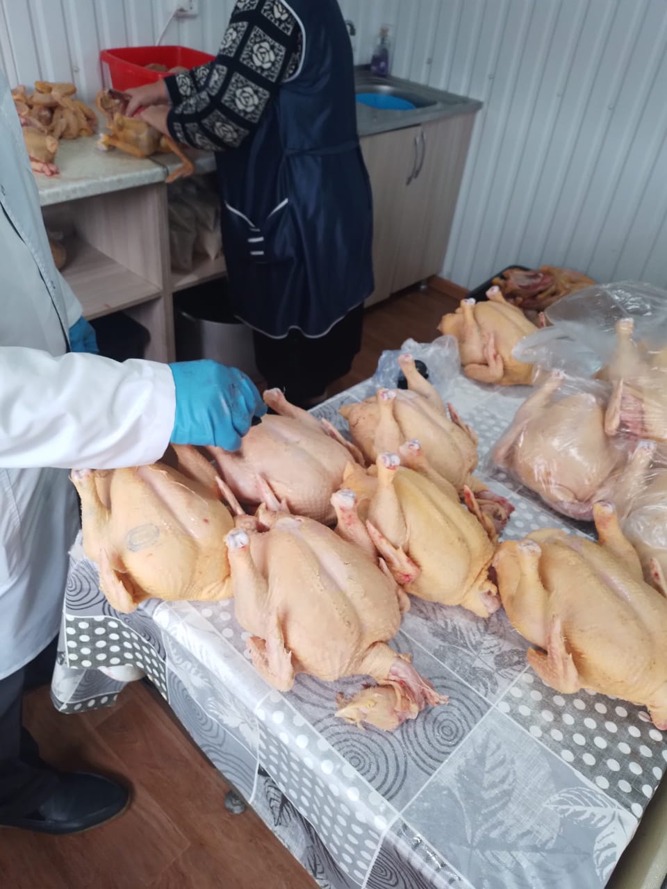 Ветеринарно-санитарная экспертиза подконтрольной продукции