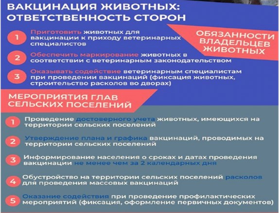 Вакцинация животных: ответственность сторон