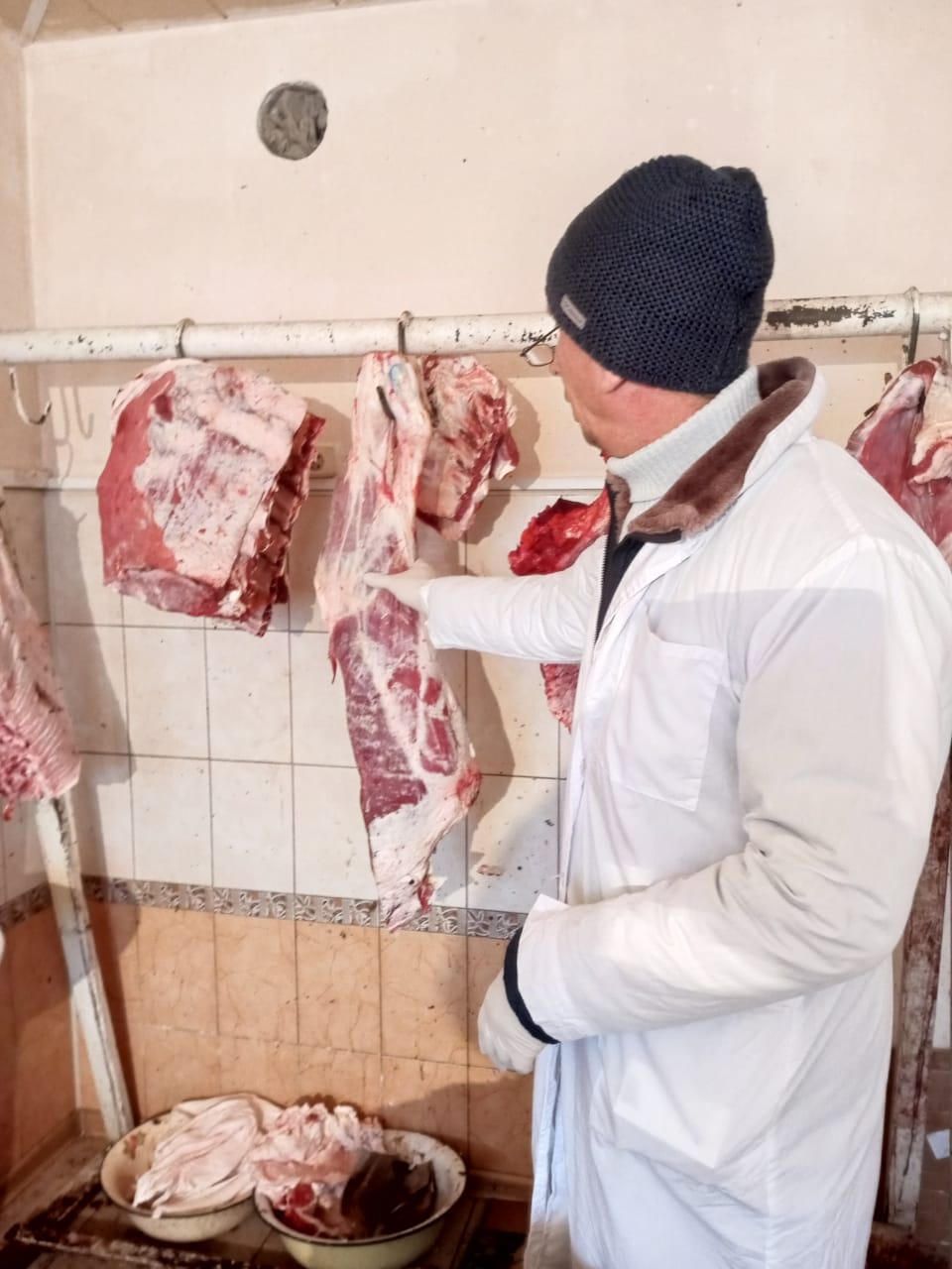 Ветеринарно-санитарная экспертиза мяса, мясных и молочных продуктов, овощей и фруктов  в г. Нарткала