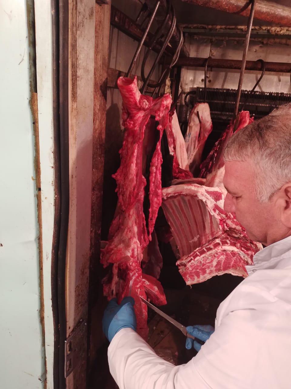 Ветеринарно-санитарная экспертиза мяса, мясных и молочных продуктов, овощей и фруктов  в Терском районе