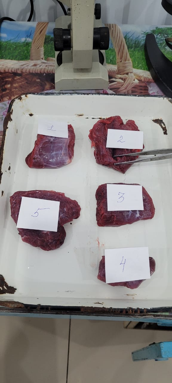 Ветеринарно-санитарная экспертиза подконтрольной продукции